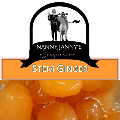Made in Shropshire Nanny Janny's Jersey Ice Cream