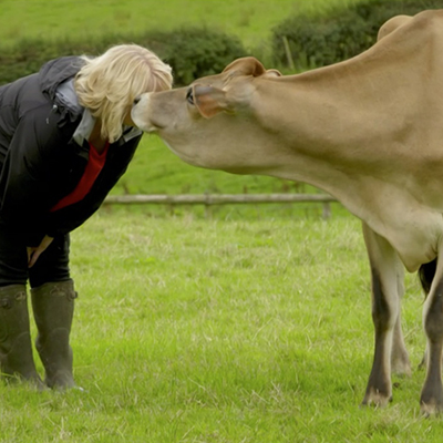 Made in Shropshire Nanny Janny's Jersey Ice Cream